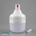 FOCO LED RECARGABLE 20W 6500K 50U/C