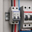 BREAKER VICTORIA LED AC 6K 2P 50A 6U/C