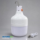FOCO LED RECARGABLE 30W 6500K 100U/C