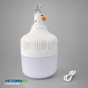 FOCO LED RECARGABLE 100W 6500K 50U/C