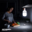 FOCO LED RECARGABLE 60W 6500K 50U/C