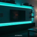 VICTORIA LED FUENTES DE PODER 24V 60W 100-265V