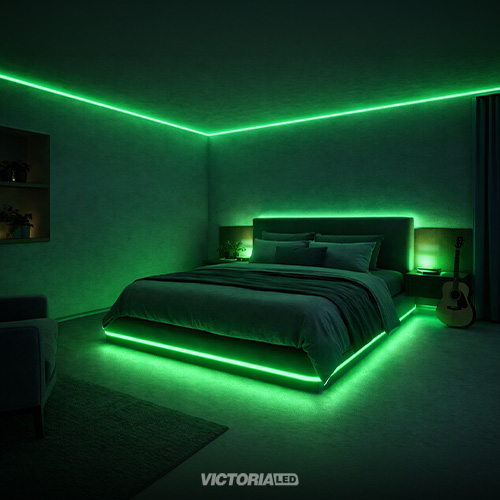 CINTA NEON 5M VERDE IP65 AC100-240V DC12V