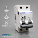 BREAKER VICTORIA LED AC 6K 2P 10A 6U/C