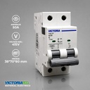 BREAKER VICTORIA LED AC 6K 2P 50A 6U/C