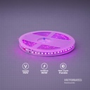EVA CINTA LED 10M AC110V 2835 IP20 CON CONECTORES 50U/C