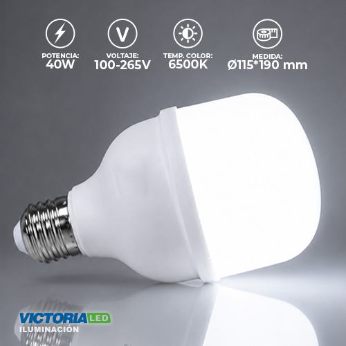 FOCO LED EVA 40W 85-265V 6500K 40U/C