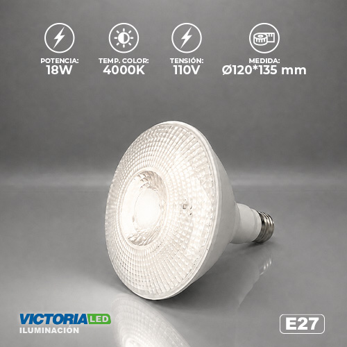FOCO LED PAR38 18W IP65 110V 4000K 12U/C