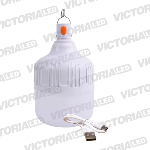 FOCO LED RECARGABLE 100W 6500K 50U/C