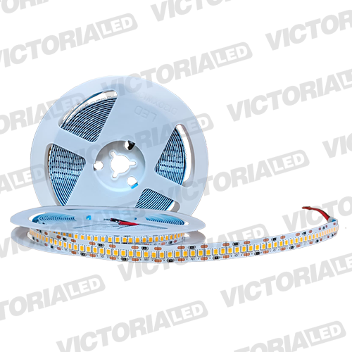 [C5M-6K2835] CINTA LED 5M IP20 10MM 240LED 6500K 23W 1600LM