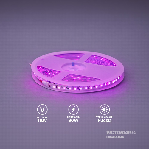 [E-CL110V FUSCIA] EVA CINTA LED 10M AC110V 2835 IP20 CON CONECTORES 50U/C