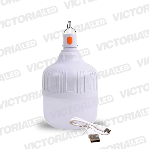[EFE-50W] FOCO LED RECARGABLE 50W 6500K 50U/C